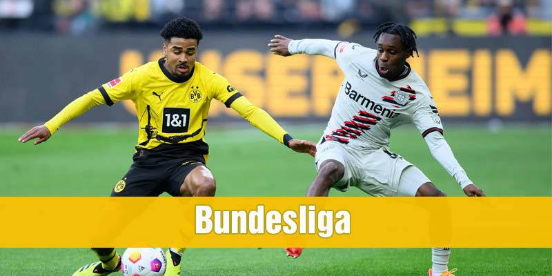 danh sách giải đấu để cá độ