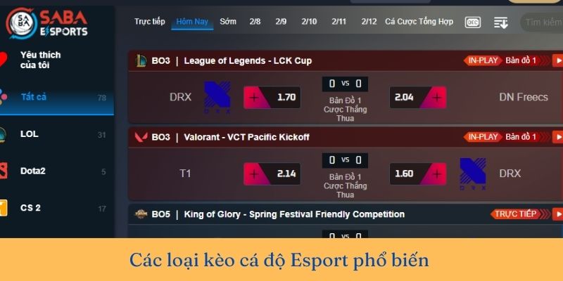 Cá cược Esport là gì