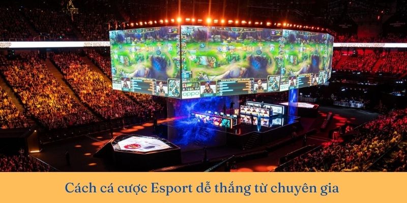 Esport cá cược