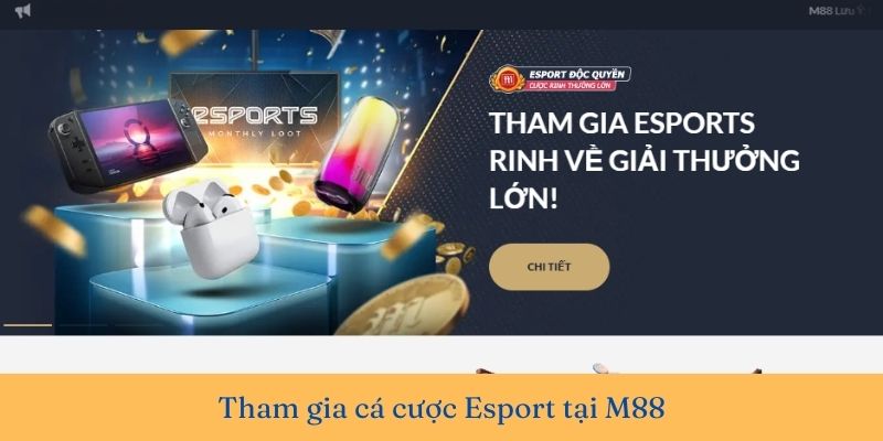 Hướng dẫn cá cược Esport