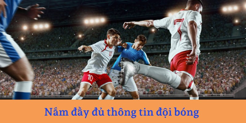 Nắm đầy đủ thông tin đội bóng khi tham gia đặt cược