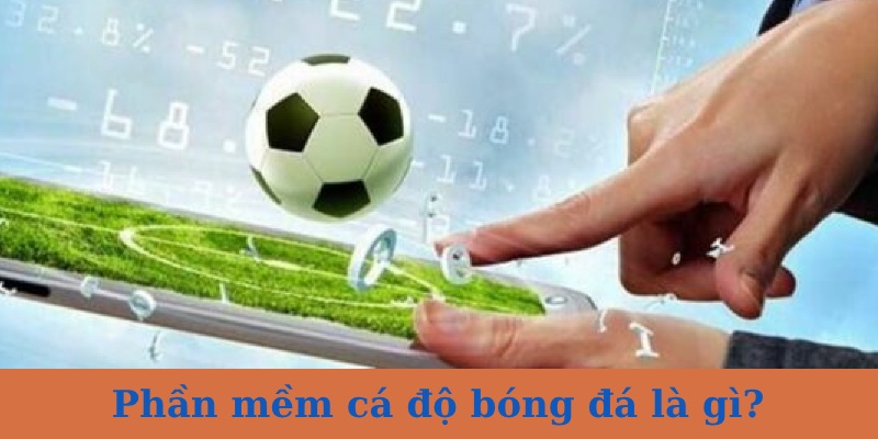 Phần mềm cá độ bóng đá gợi ý kết quả trận đấu cho người chơi