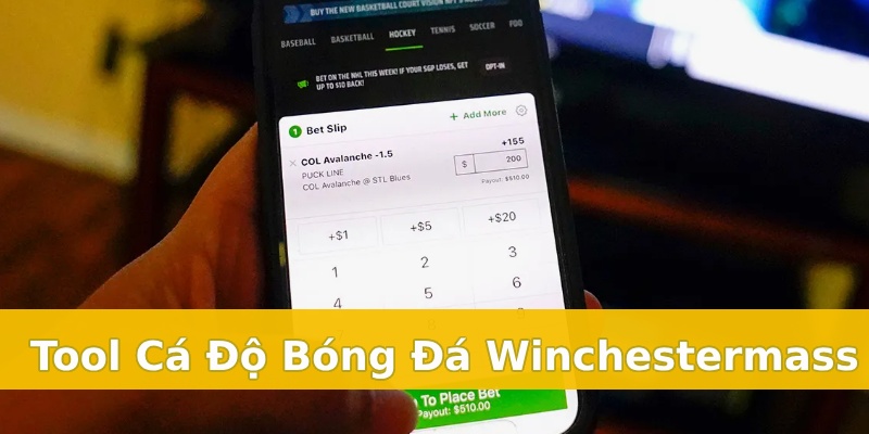 tool hỗ trợ cá độ bóng đá